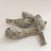 Wild White Sage Smudge Stick